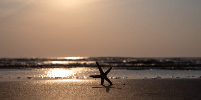 A starfish in the sand on a beach in front of the ocean waves at sunset