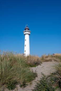The approx. 28 m high white lighthouse J.C.J. van Speijk in Egmond aan Zee, North Holland, Netherlands, in the sand dunes with beach grass