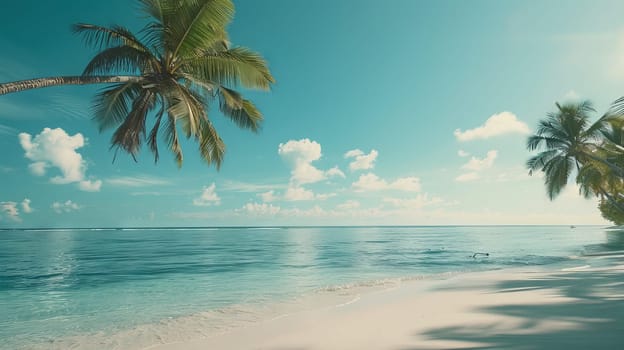 A beautiful beach with a palm tree in the foreground and a clear blue ocean in the background. The scene is peaceful and relaxing, perfect for a day of sunbathing and swimming