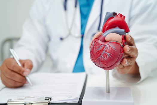 Cardiovascular disease CVD, doctor with heart human model anatomy for treatment patient in hospital.