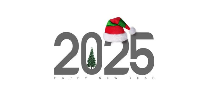 2025 New year text concept with pine tree and santa hat. 3d illustration
