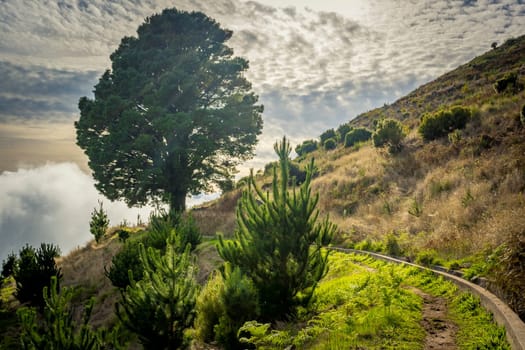 Landscape on Levada walk in Madeira, close to Posto Florestal da Cova Grande, and levada Do Paul