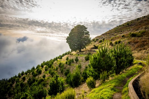 Landscape on Levada walk in Madeira, close to Posto Florestal da Cova Grande, and levada Do Paul
