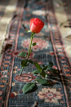 Simple background with a single rose placed on a prayer mat, symbolizing devotion and love.
