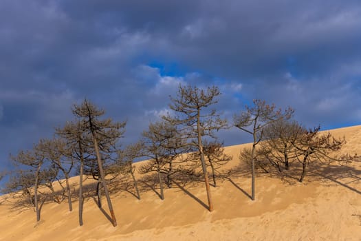 Dune of Pilat, the tallest sand dune in Europe. Arcachon Bay. Aquitaine, France
