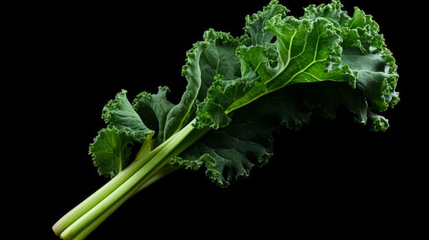 fresh green organic kale leaf on dark background. Neural network AI generated art