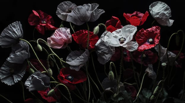 A striking photo of a poppy field with a mix of red and gray flowers set against a deep black background. The contrasting colors create a dramatic and artistic visual effect, blending natural beauty with abstract design.