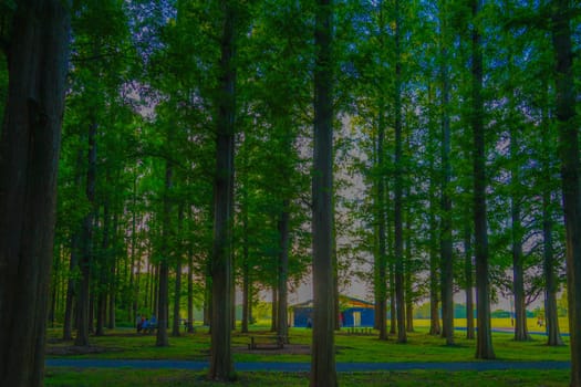 Metasekoya Forest (Mizumoto Park). Shooting Location: Katsushika-ku, Tokyo
