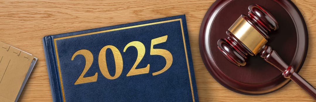 A law book with a gavel - 2025