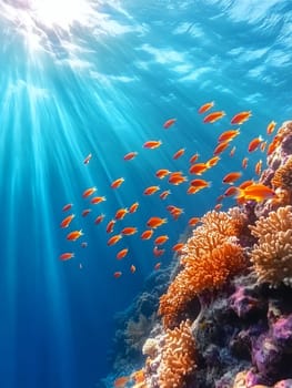 Vibrant orange tropical fish swimming near coral reef formations under dramatic sunbeams penetrating crystal clear blue waters.