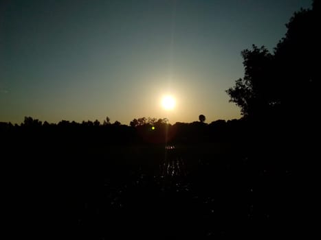 Village Beautiful Scenery - Paddy Field, Village Jungle Flowers, Village Evening, Fruit Tree Garden, Village Sunset, Village River
