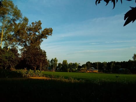 Village Beautiful Scenery - Paddy Field, Village Jungle Flowers, Village Evening, Fruit Tree Garden, Village Sunset, Village River
