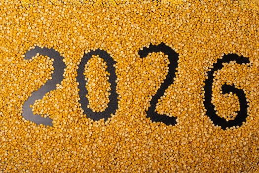 2026 new year concept on a split peas background