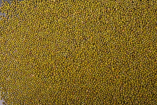 Mung beans texture pattern background, top viewpoint