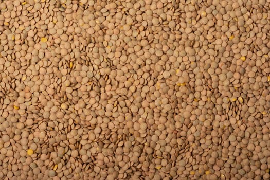 Lentil close up texture pattern background, top viewpoint