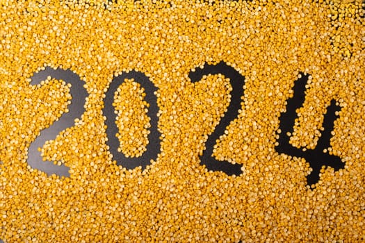 2024 new year concept on a split peas background. 3d illustration