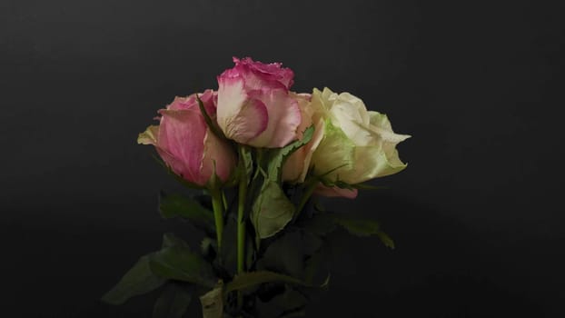 Bouquet of various coloured roses on a black background. Multi-coloured roses on dark background.