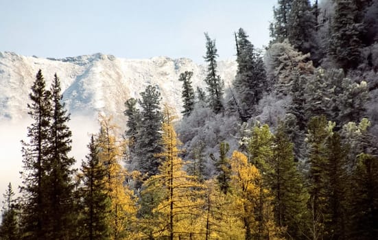 Mount Sayan in winter in the snow. The nature of the mountains is sayan.