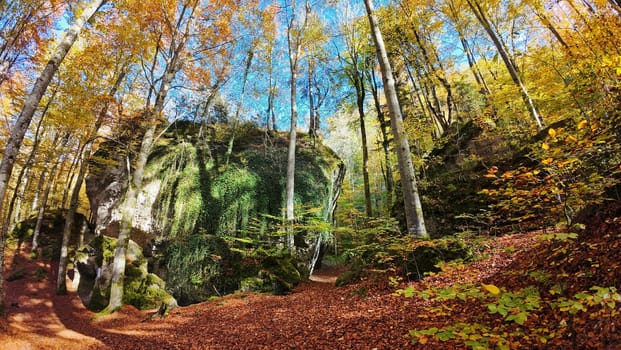 Fantasy picture of the devil's kitchen with stones and trees in the Allgäu