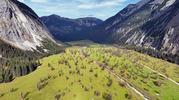 Drone image of many leafless maple trees in the mountains of Austria in fall