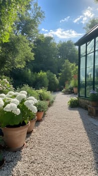 A charming garden path lined with blooming flower pots, basking in the warm sunlight of a clear day.