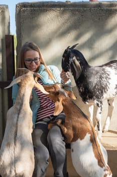 A woman interacts with friendly goats at an animal farm, feeding them treats on a sunny day, enjoying a farm experience.