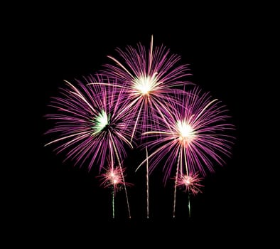 Pink fireworks light up and explosion on black sky