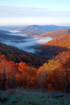 sunlight casting over foggy mountains and an autumn forest. AI generative.