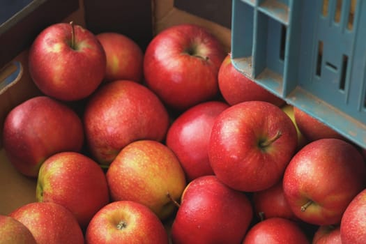 Red apples in carton box on display at fruit and vegetable market, closeup detail