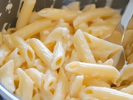 Italian Alfredo Spahetti Pasta. Creamy Penne and spaghetti Food lunch meal