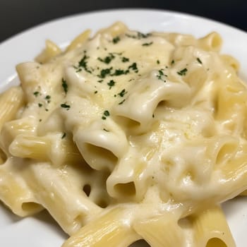 Italian Alfredo Spahetti Pasta. Creamy Penne and spaghetti Food lunch meal