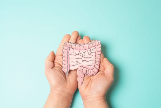 Colon, colorectal or rectal cancer, inflammatory bowel disease, weight loss, abdominal pain and fatigue, Morbus Crohn, ulcerative colitis, digestive system organ, medical health