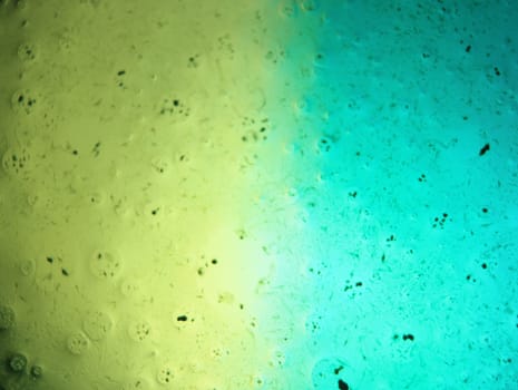 abstract background fantasy illusion rarity imagination virus bacteria sensation