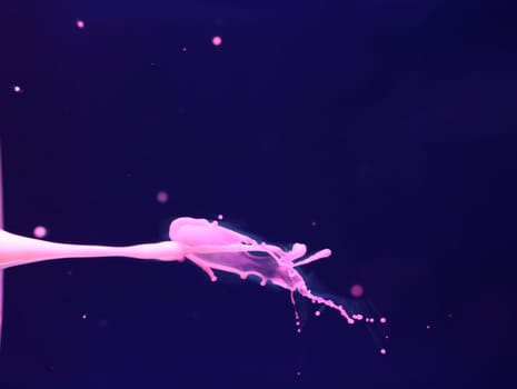 drops colliding and forming a spectacular image abstract random shapes