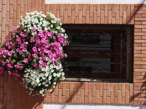 Beautiful window decorated with colorful aromatic natural flowers