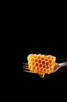 honeycomb on an antique fork. The honeycomb glistens with honey, and a few drops noticeably flow down. on a black background