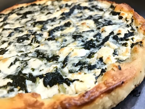 Green Fresh Creamy riccota cheese spinach homemade Healthy Vegan Food