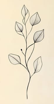 An arrangement of intricate skeleton leaves showcases their unique shapes and fine details against a soft background.
