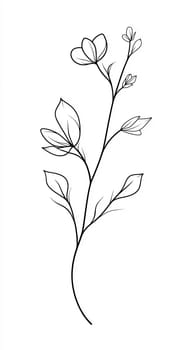 A simple yet elegant sketch of a flower branch with few blossoms and leaves on a white background, showcasing intricate lines and shapes.