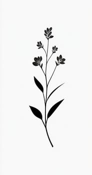 Delicate black silhouette of a flowering plant with leaves against a white background, showcasing natural beauty and simplicity.