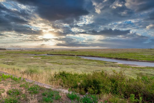 A field with a river running through it and a cloudy sky. The sky is overcast and the sun is setting
