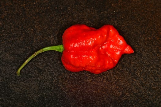 Carolina Reaper, world's hottest chili pepper 2021