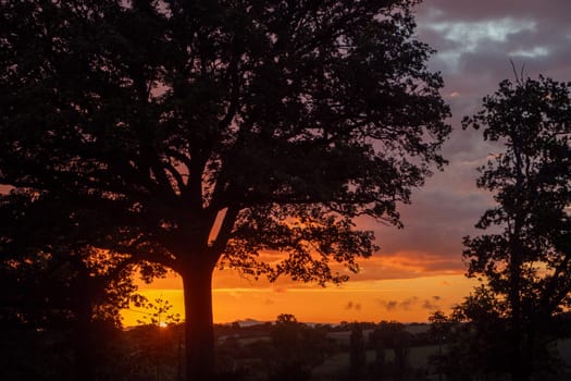 A tree is silhouetted against a beautiful sunset. The sky is a mix of orange and pink hues, creating a serene and peaceful atmosphere