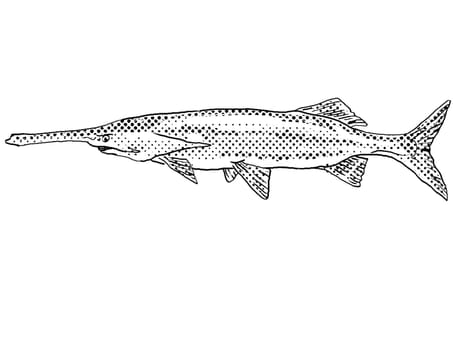 Cartoon style line drawing of an American Paddlefish or family Polyodontidae  a freshwater fish endemic to North America with halftone dots shading on isolated background in black and white.