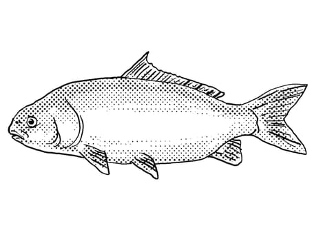 Cartoon style drawing of a black buffalo or Ictiobus niger  freshwater fish found in North America with halftone dots on isolated background in black and white.