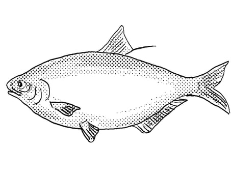 Cartoon style drawing of a bigmouth buffalo or Ictiobus cyprinellus freshwater fish found in North America with halftone dots on isolated background in black and white.