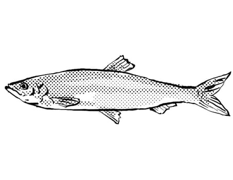 Cartoon style line drawing of an Atlantic herring a fish endemic to Germany and Europe in Atlantic Ocean with halftone dots shading on isolated background in black and white.