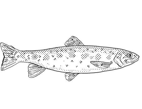 Cartoon style line drawing of a Athabasca rainbow trout or Oncorhynchus mykiss a freshwater fish endemic to North America with halftone dots shading on isolated background in black and white.