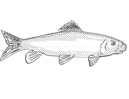 Cartoon style drawing of a black redhorse or Moxostoma duquesni, also duquesnii, duquesnei freshwater fish found in North America with halftone dots on isolated background in black and white.