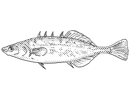 Cartoon style line drawing of a brook stickleback or Culaea inconstans  freshwater fish found in North America with halftone dots on isolated background in black and white.